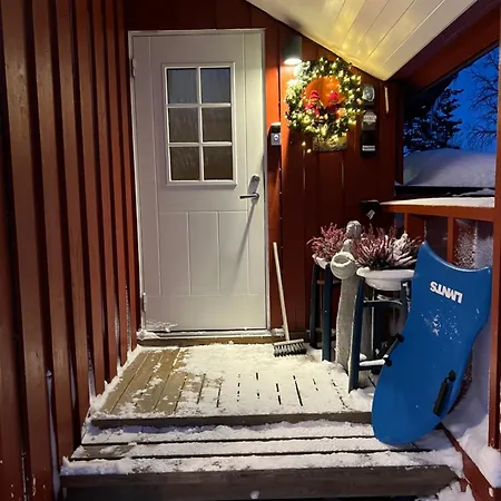 In The Heart Of The Northern Lights Tromsø