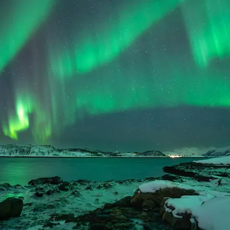In The Heart Of The Northern Lights Lejlighed Tromsø
