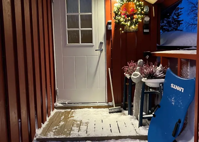 In The Heart Of The Northern Lights Tromsø