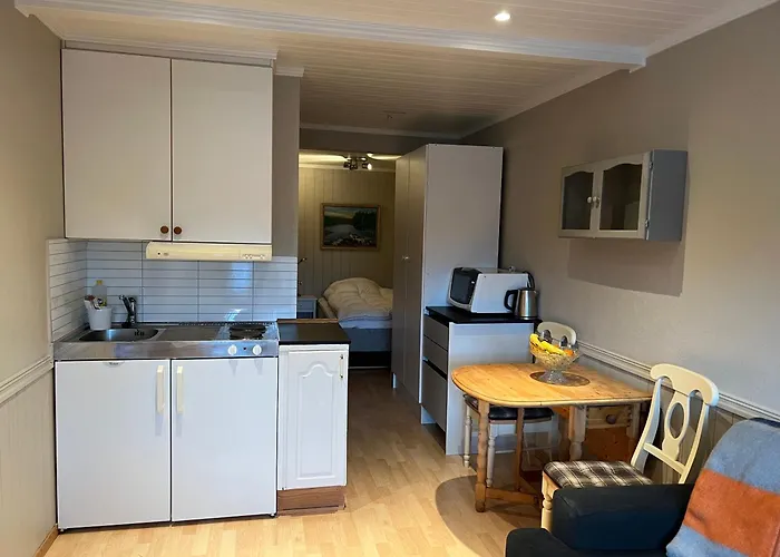 Apartament In The Heart Of The Northern Lights Tromsø