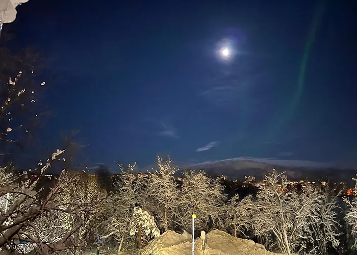 In The Heart Of The Northern Lights Apartament *